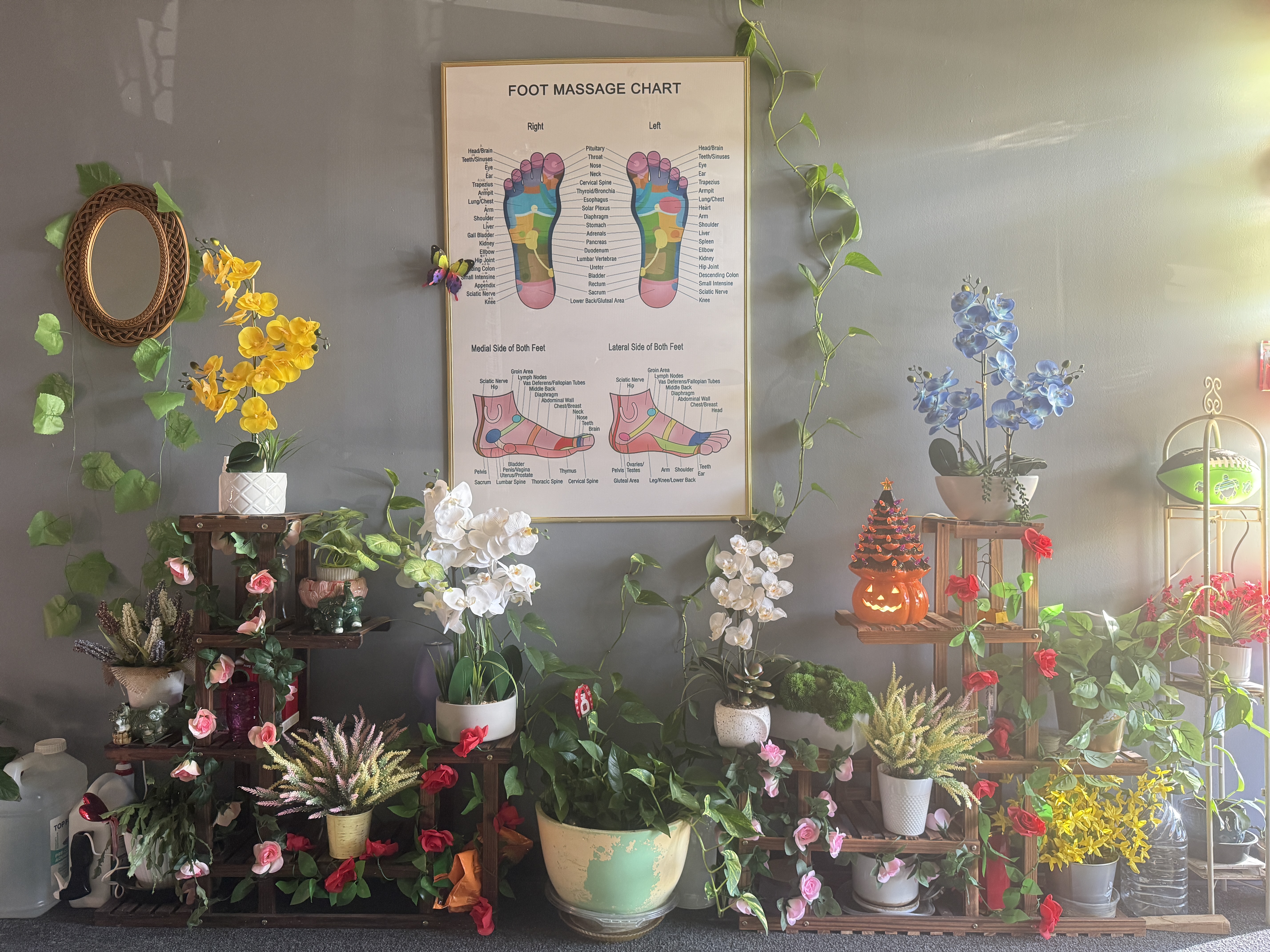 Kamu Foot Spa - Foot spa plants and decor